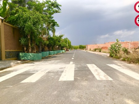 Sân bay Long Thành tâm điểm của NĐT trong nước và quốc tế.