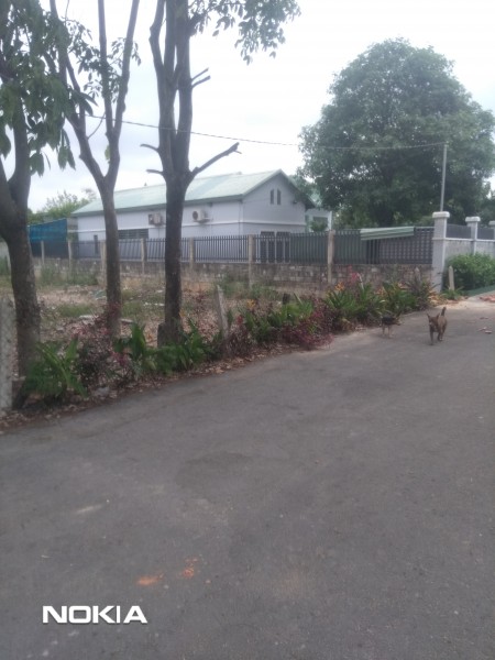 Bán gấp Thủ Dầu Một BD. 535m². TC 100m²