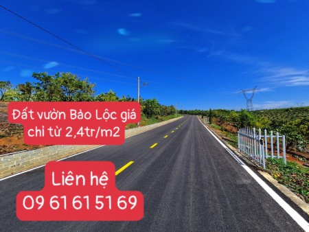 CHỈ CÒN DUY NHẤT 3 NỀN VIEW NHÌN VỀ TP BẢO LỘC
