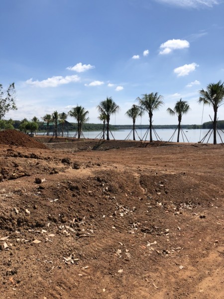 Chính Chủ Cần bán 1000m2 Đất, Gần KCN Becamex, TT Hành Chính