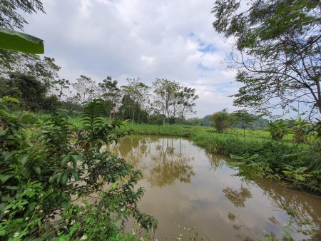 Cần bán nhanh lô nghỉ dưỡng tại Yên Bài 1893m - 150m2 đất ở