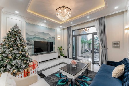 Mặt phố Nguyễn Trường Tộ giá 50 tỷ, 106m2, MT 7m, kinh doanh đông đúc