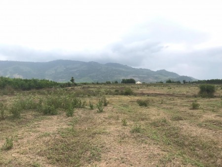 Bán đất có qh thổ rộng 13ha đường nhựa giá rẻ LH 0788.558.552