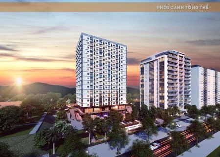 Đi đến slide 7