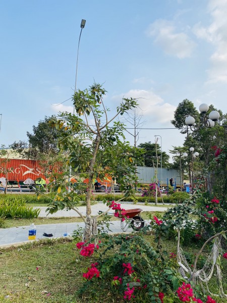 Đi đến slide 6