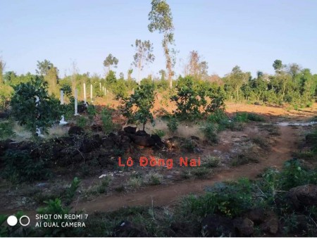 Bán lô đất 2 mặt tiền 2.500 m2, cách chợ Phú Tân , Định Quán, Đồng Nai. Gía bán 1 tỷ, sổ hồng riêng 0919508828