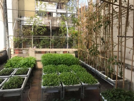 BÁN NHÀ TRUNG TÂM THANH XUÂN GIÁ 5.8 TỶ- KINH DOANH SẦM UẤT