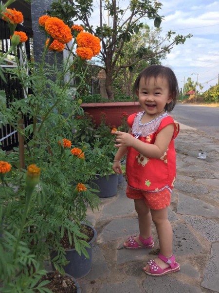 Đào mạnh hoàng