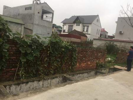 48m Đông Lai, Quang Tiến, Sóc Sơn, 550 triệu/lô, MT: 5M, đường 4,5m, cach KCN NỘI BÀI 1km