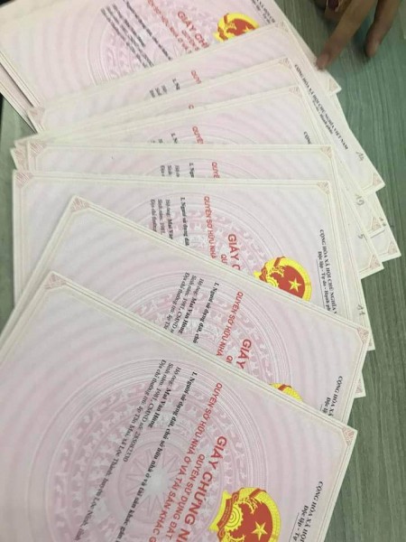 Cần bán gấp, đất trồng cây lâu năm
