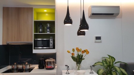 Căn hộ 1 Phòng ngủ Republic Plaza cần cho thuê gấp Giá tốt chỉ #12 Triệu