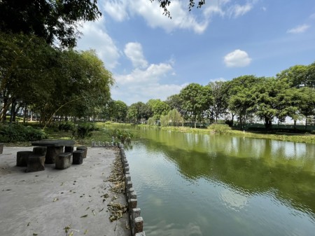 Chính chủ bán căn hộ Celadon City quận tân phú. khu ruby lầu 4 - 2PN