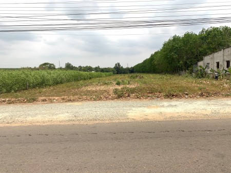 VỠ NỠ- Chủ đất cần bán gấp lô đất 1000m2 mặt tiền đường Phước Bình-Long Thành, sổ riêng