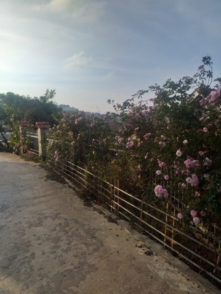 Đi đến slide 3
