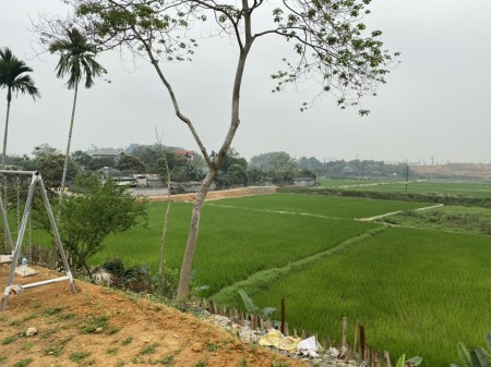 Đi đến slide 8