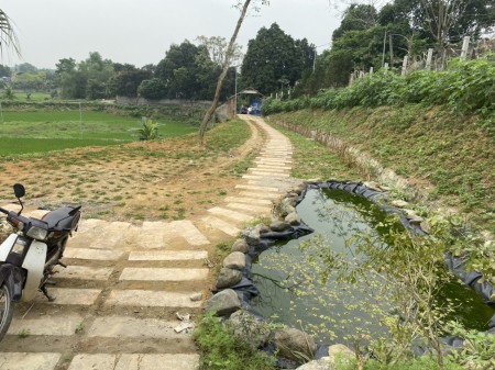 Đi đến slide 2