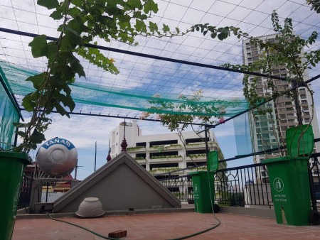 Đi đến slide 8