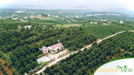 ĐẤT ĐẸP VIEW SÂN BAY LIÊN KHƯƠNG 1.7 TRIỆU/M2