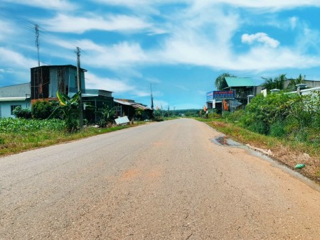 Cần tiền bán gấp vài lô đất sào ngay gần Đại học y dược cơ sở 2 tại Phước Bình Long Thành