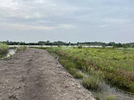 Bán Nhà Vườn Bờ Sông Tại Xã Phú Đông, Nhơn Trạch, Cách Quận 2 12km, Đi Xe 30 Phút Tới Đất