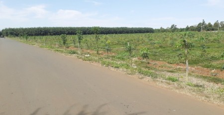 ĐẤT THẬT GIÁ THẬT 5000M2 ĐẤT SÁT MẶT TIỀN ĐƯỜNG NHỰA LỚN GIÁ 470TR, GIÁ CÓ THƯƠNG LƯỢNG