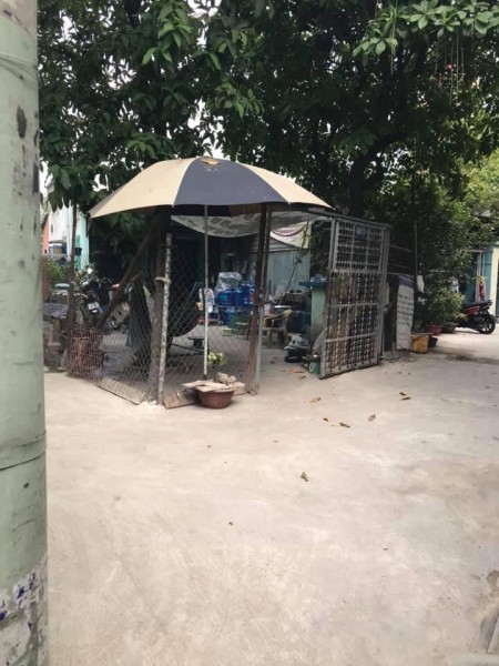 Bán nhà hẻm Nguyễn Oanh, nhà diện tích 5x20, giảm 800 triệu còn 3 tỷ 8 TL