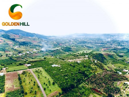ĐẤT NGHỈ DƯỠNG GOLDEN HILL ĐÀ LẠT CHỈ TỪ 1.7 TRIỆU/M2