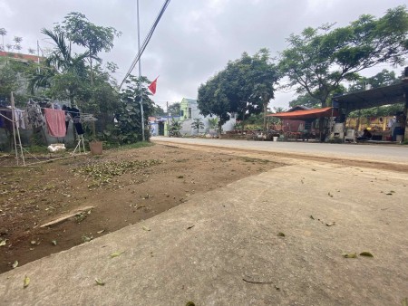 Chính chủ bán mảnh 251,2m mặt đường trục chính Phú Mãn Quốc Oai Hà Nội (cách QL21 400m) Ảnh thực tế