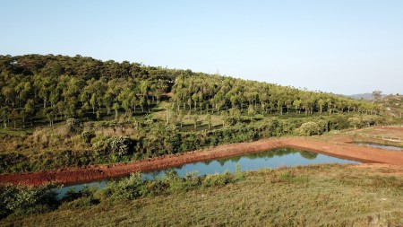 Đất Bảo Lộc Khu Biệt Thự Nghĩ Dưỡng 300m2