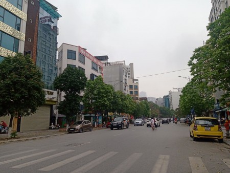 Siêu hiếm! Bán đất mặt phố Cầu Giấy, ô tô, kinh doanh đỉnh, 190m2, mặt tiền 11m, 39 tỷ.