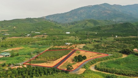 Đi đến slide 9