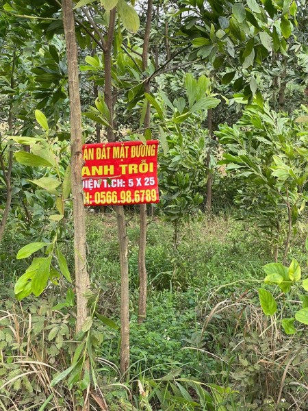 Đi đến slide 4