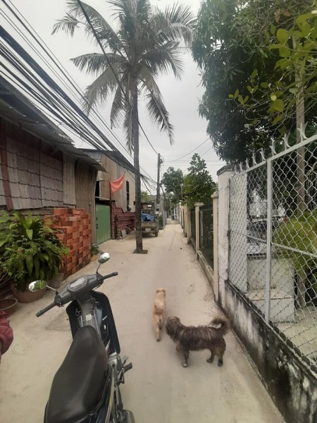Đi đến slide 5
