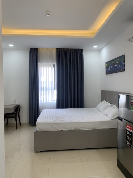Cho thuê căn hộ dịch vụ đầy đủ nội thất trung tâm quận 7
