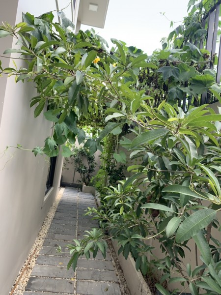 Đi đến slide 6