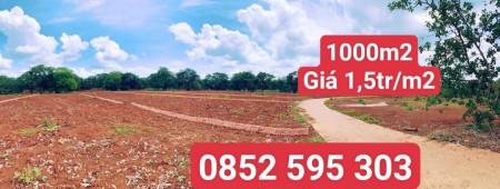 Chính chủ bán gấp lô đất ở Phước Bình, SHR, Giá 1tr5_M2,Đất hồng bao đẹp.