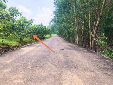 Gấp Gấp chủ đất đá gà thua lỗ cần bán hơn 1 sào điều mặt tiền đường diện tích 1600m2 xã Phước Bình-Long Thành.