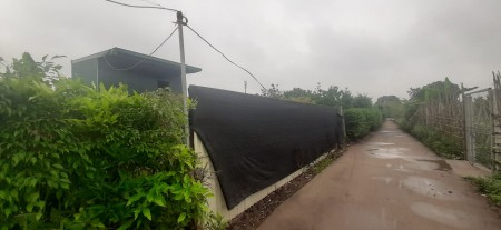 Bán 387m2 đất 50 năm Yên Mỹ, Thanh Trì, giá 1.55 tỷ, 0976151518