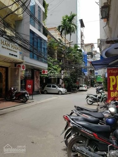 Bán Biệt thự nhà vườn đẹp, hiếm tại phố Linh Lang, Ba Đình, sổ đỏ cc 210 m2, mt 13,5m, ô tô vào nhà, giá chào 32,5 tỷ, Lh 0917043985/0988673079