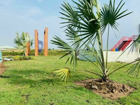 Đi đến slide 2