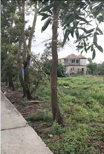 Bán đất KDC huyện Quảng Điền, Huế: Diện tích: 250m2 (12,5x20). Giá 375 triệu.