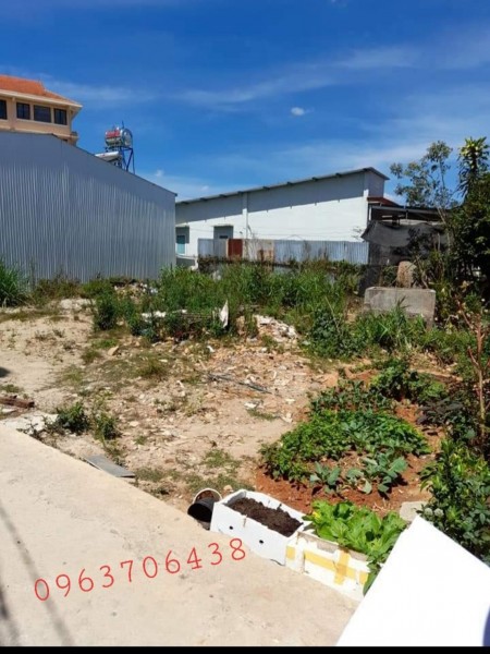 Bán đất xây dựng giá rẻ đường Trương Văn Hoàn - Phường 9 Đà Lạt.