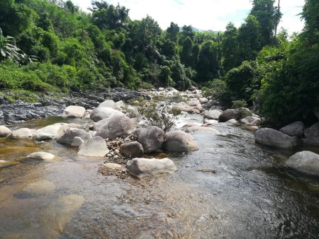 Đi đến slide 5