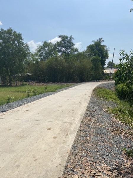 Đất vườn Củ Chi Tỉnh Lộ 2 giá rẻ 735,5m2 giá 1ty290 SHR sang tên công chứng ngay