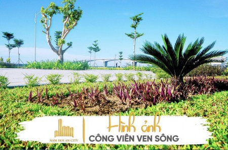 Đi đến slide 6