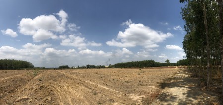 HOT HOT đất rẻ như cho địa thế ngay sân bay Long Thành 1683m2, Giá 1.2tr/m2.
