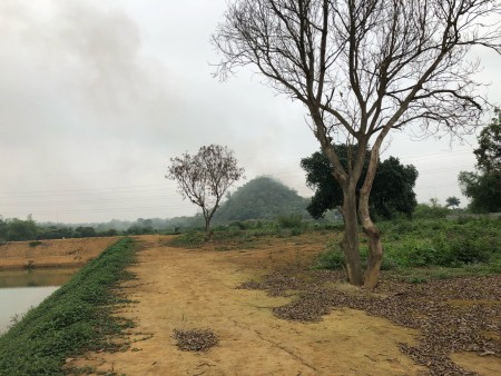 Đi đến slide 6