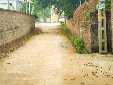 Đi đến slide 8