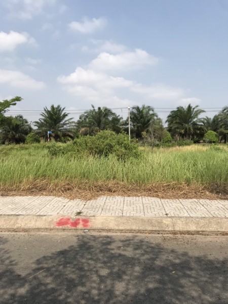 bán 101m2 đất Tân Thông Hội-Củ Chi 1tỷ1