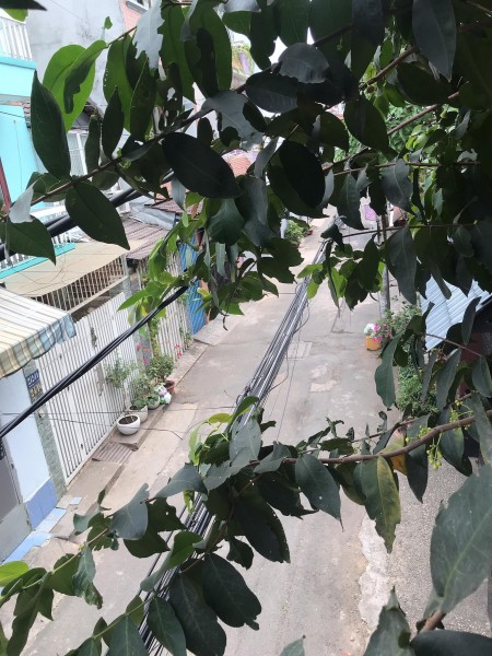 Đi đến slide 5